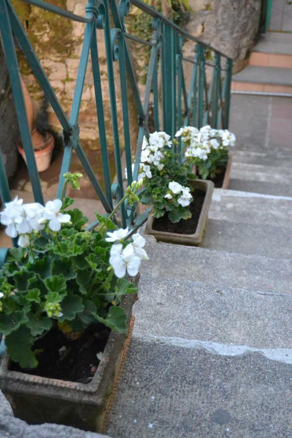 My Home ซอร์เรนโต ภายนอก รูปภาพ